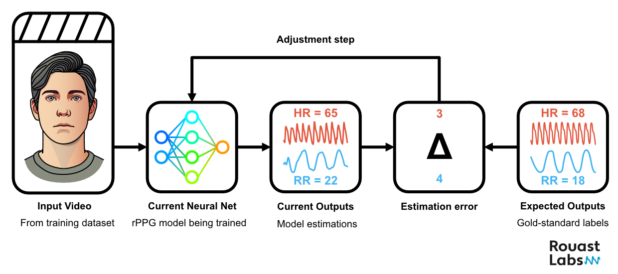 Neural network learning rPPG signals